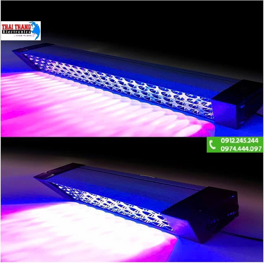 ĐÈN SẤY UV CÔNG NGHIỆP WINNING LIGHT TT-5100 USA – GIẢI PHÁP SẤY KHÔ HIỆU SUẤT CAO, TIẾT KIỆM NĂNG LƯỢNG