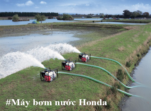 Cách vận hành máy bơm nước chạy xăng chuẩn kỹ thuật