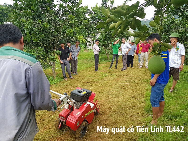 Máy quật cỏ trục băm Mitsubishi Nhật Bản TL442