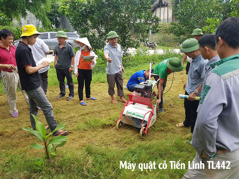 Máy quật cỏ trục băm Mitsubishi Nhật Bản TL442