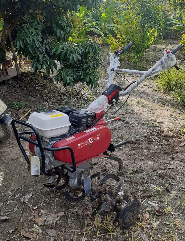 Máy xới đất đa năng Tiến Linh TL600HD