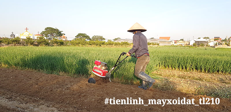 Máy xới đất Nhật Bản TL210 - Máy xới đất Nhật Bản 210